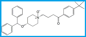 EBASTINE EP IMPURITY G / EBASTINE TRANS-N-OXIDE